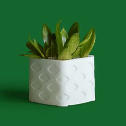 plantr_photo1.jpg Archivo STL Plantr・Objeto para impresora 3D para descargar