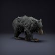resize-sloth-bear4.jpg Sloth Bear