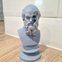 IMG_20230109_085815_-1080_x_1350_pixel.jpg Fichier STL Buste tête de mort de Socrate・Objet imprimable en 3D à télécharger