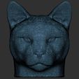 22.jpg Cougar / Mountain Lion head for 3D printing