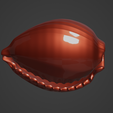 cowrie-shell-image-7.png Oceanic Beauty: 3D Printable Cowrie Shell Replica