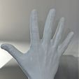 1.jpg Human hand