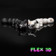 Cat-Chunky-1.jpg Flex 3D Kitty Chunky