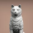 shiba-inu6.jpg shiba inu 3D print model
