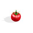 8.jpg TOMATO FRUIT VEGETABLE FOOD 3D MODEL - 3D PRINTING - OBJ - FBX - 3D PROJECT RED TOMATO FRUIT VEGETABLE FOOD