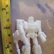 20230419_155812.jpg Transformers Tarn Decoy Miniature Figure