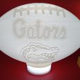 IMG_20231101_180343191.jpg Florida Gators College Football Light