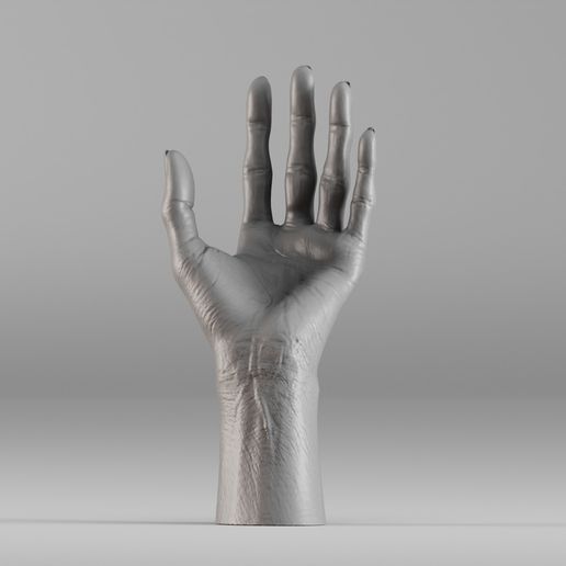 001596 Witch’s Hand (Realistic Sculpted Limb) 3D model