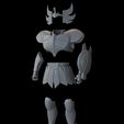 occlusion-frente-3.jpg Schwan-Rüstung - Hyoga - saint seiya