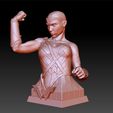 WonderWoman_0009_Layer 24.jpg Wonder Woman Gal Gadot 3d print bust