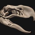 10.jpg Terror bird- birds terror skull in 3D