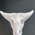 IMG_0805.jpg Tow-Hitch Cow Skull