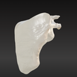 2.png 3D-Knochenmodell des Schulterblatts