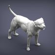 american-bulldog4.jpg american bulldog 3D print model