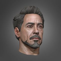 0.jpg Tony Stark 3D print model