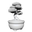 Bonsai2.jpg Bonsai