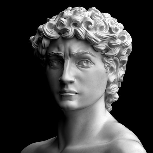 david.1.1.jpg The David