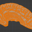 40.PNG.39634feb9355bbeba96324247f33a3ae.png 3D Model of Human Brain