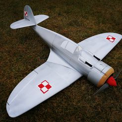 Ready.jpg 3D file PZL P.50 Jastrzab - RC flying scale model・3D print design to download