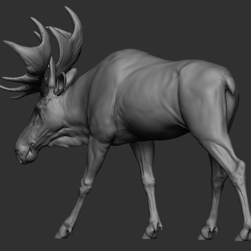 14.png Moose