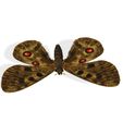 00L.jpg DOWNLOAD BUTTERFLY  COLECTION 3D MODEL ANIMATED - MAYA - BLENDER 3 - 3DS MAX - UNITY - UNREAL - CINEMA 4D -  3D PRINTING - OBJ - FBX - 3D PROJECT CREATE AND GAME READY BUTTERFLY