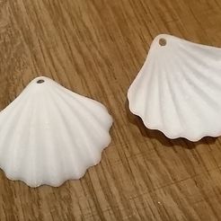 seashell.jpg STL-Datei Muschel-Ohrring herunterladen • Modell zum 3D-Drucken, Scornex