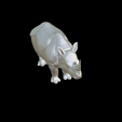 Capture-d’écran-2023-07-06-à-11.17.09.png Rhinoceros