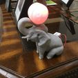 57811490_2008869266085185_1952342255582838784_n.jpg Elephant playing with ball nightlight