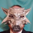 20191231_193102.jpg Witcher Wolf Masquerade Mask