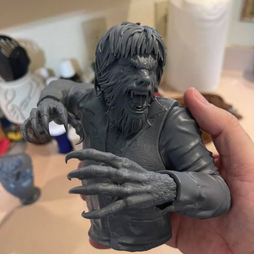 208610522_4022667401116297_6630824558866790587_n.jpg The Wolfman