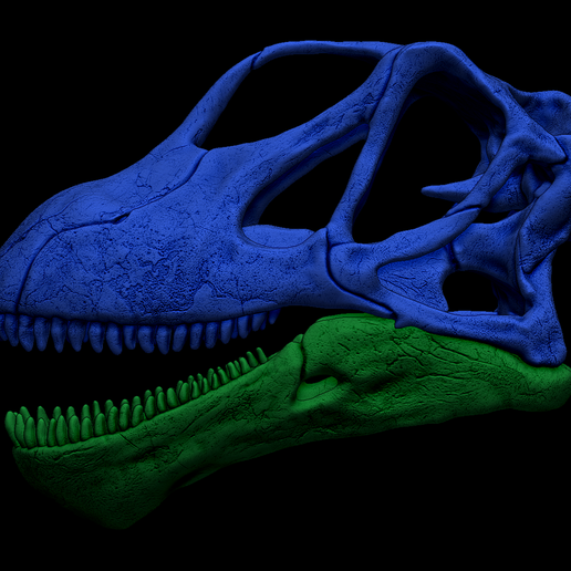 7.png Череп маменчизавра