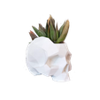 IMG_1155.png Low poly mohawk skull planter