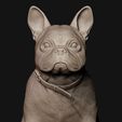 04.jpg French Bulldog model 3D print model