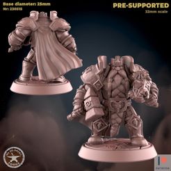 230515-Dwarf_Leader_attack.jpg Файл 3D Атака вождя гномов・3D модель для печати скачать