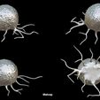 C_S_Matcap.jpg 3D file Cancer Cell・3D printing template to download