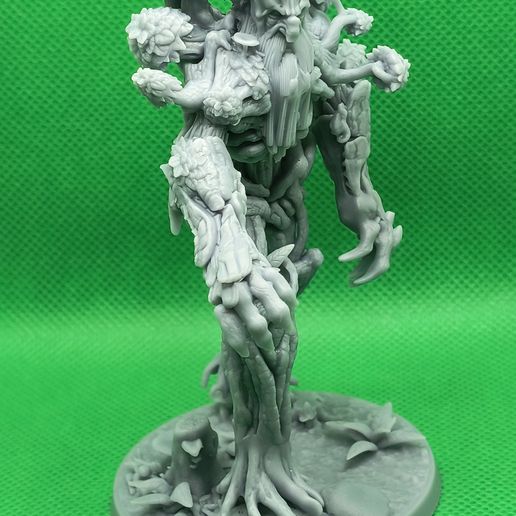 1000007181.jpg Böser Baumjunge