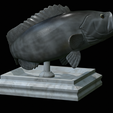 White-grouper-open-mouth-1-8.png fish white grouper / Epinephelus aeneus trophy statue detailed texture for 3d printing