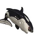 5.jpg ORCA Killer Whale Dolphin FISH sea CREATURE 3D ANIMATED RIGGED MODEL