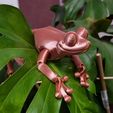Симпатичная лягушка с флекси-принтом, alucard321pl