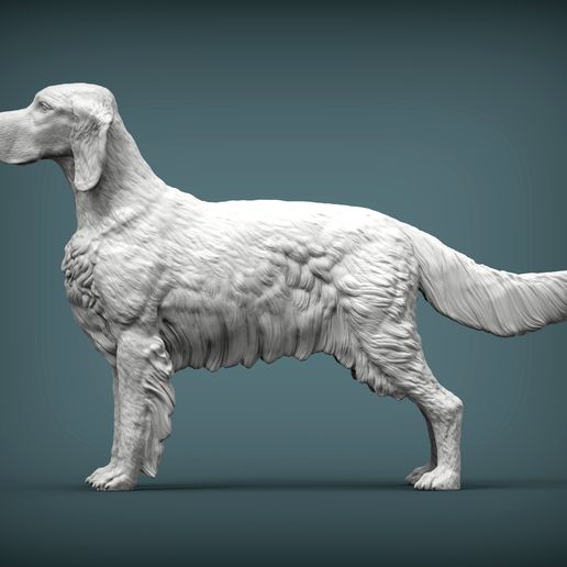 English-Setter1.jpg English Setter 3D print model