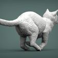running-cat5.jpg running cat 3D print model