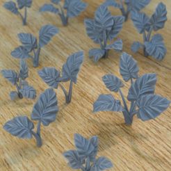 Alocasia.jpg Archivo STL 5 ALOCASIA PLANTAS PARA ENTORNO DIORAMA SOBREMESA 1/35 1/24・Modelo para descargar y imprimir en 3D