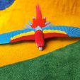 IMG_20240621_152226548.jpg Flying Macaw