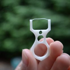 DSC_0727.jpg Printable Flosser