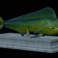 Base-mahi-mahi-8.png fish mahi mahi / common dolphin fish statue detailed texture for 3d printing