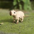 04.jpg CAPYBARA, FLEXI, ARTICULATED