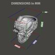 dimensions.jpg Skull vol4 Ring