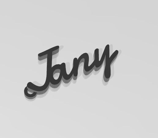 Jany 3D model