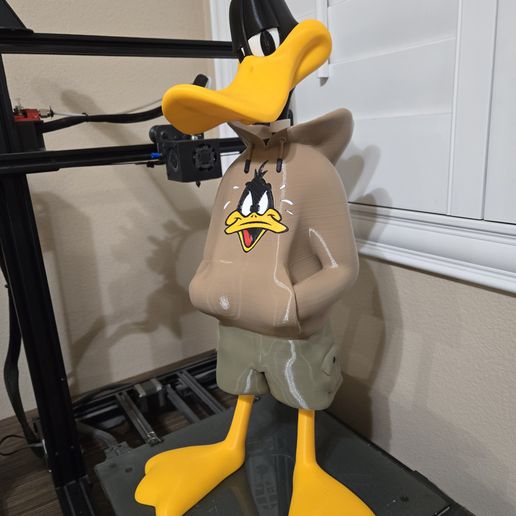 20250130_193400.jpg Daffy Duck Chillin Multi- Color