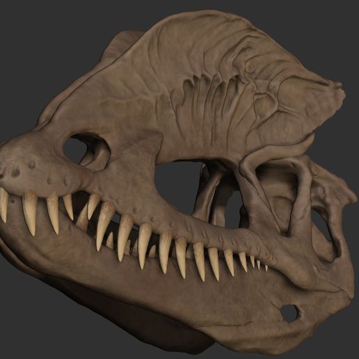 ZBrush-Document10.jpg Dilophosaurus-Schädel